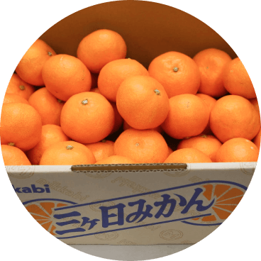 ミカンの保存方法