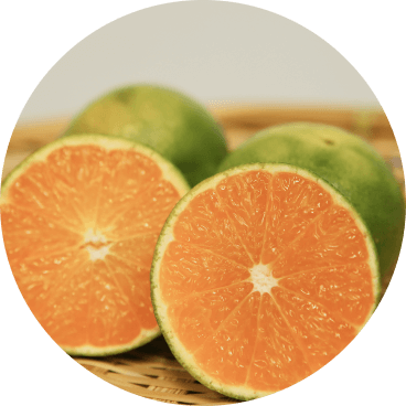 ミカンのアレンジレシピ