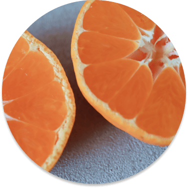 おいしいミカンの見分け方